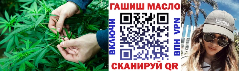 Купить где  Лодейное Поле  ТГК гашишное масло 