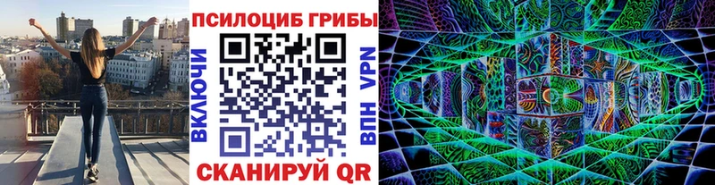 Галлюциногенные грибы прущие грибы  Купить закладки  Лодейное Поле 