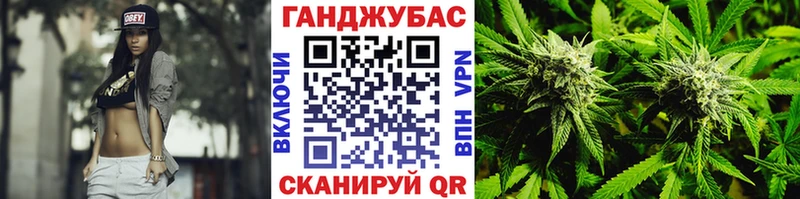 Купить закладки  Лодейное Поле  Конопля сатива 